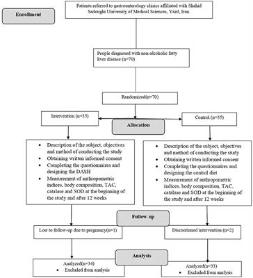 The effect of the dietary approaches to stop hypertension diet on total antioxidant capacity, superoxide dismutase, catalase, and body composition in patients with non-alcoholic fatty liver disease: a randomized controlled trial